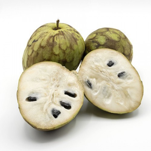 Annona Senegalensis (Annonier) (Chirimoya) — plante et accessoire de jardin à Marrakech