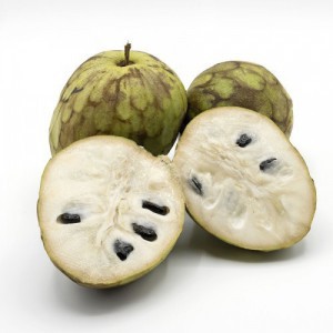 Annona Senegalensis (Annonier) (Chirimoya) Greffe — plante et accessoire de jardin à Marrakech