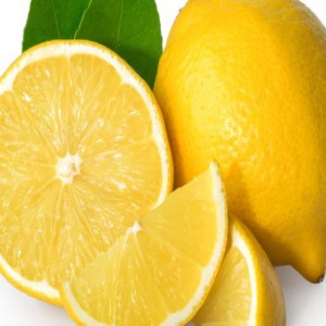 Citrus Lemon Eureka — plante et accessoire de jardin à Marrakech
