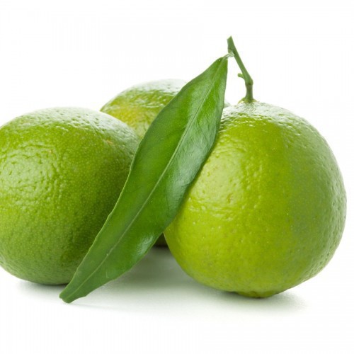 Citrus Limon (Citronnier Lime) — plante et accessoire de jardin à Marrakech