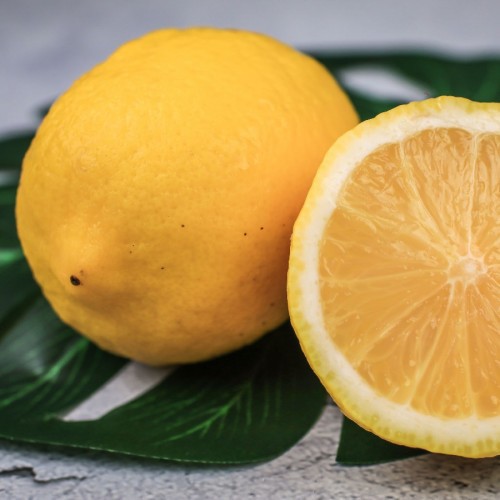 Citrus Limon (Lime Deg) — plante et accessoire de jardin à Marrakech