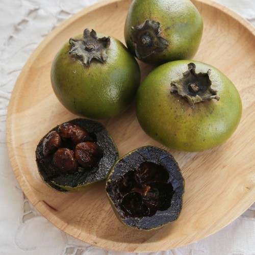 Diospyros Digyna (Sapotier Noir) — plante et accessoire de jardin à Marrakech
