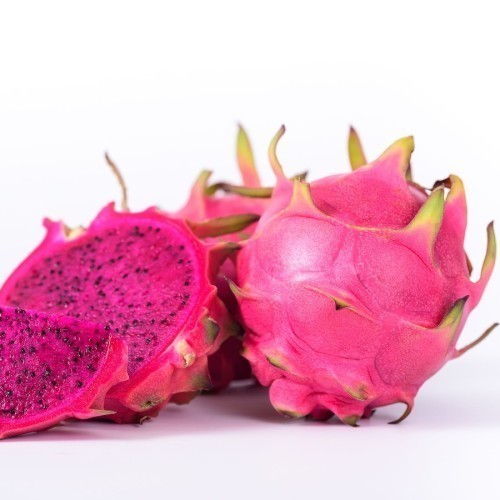 Hylocereus Undatus Pitaya Fruit Du Dragon — plante et accessoire de jardin à Marrakech