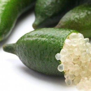 Microcitrus Australasica (Citron Caviar) — plante et accessoire de jardin à Marrakech