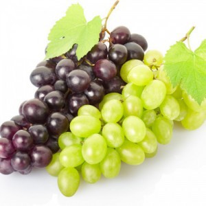Vitis Vinifera (Vigne) — plante et accessoire de jardin à Marrakech