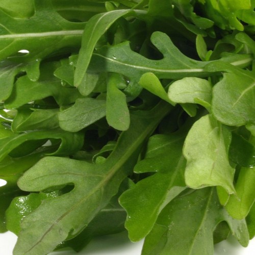 Roquette — plante et accessoire de jardin à Marrakech