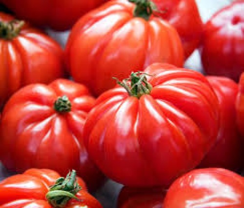 Tomate Marmande — plante et accessoire de jardin à Marrakech